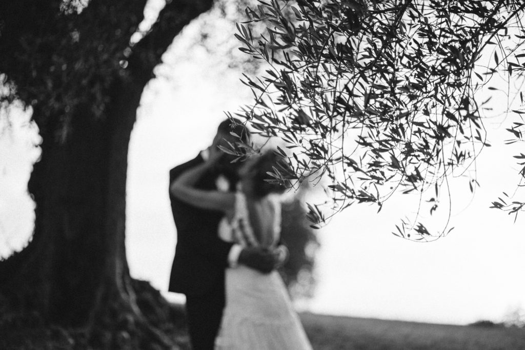 bacio sposi e albero di ulivo